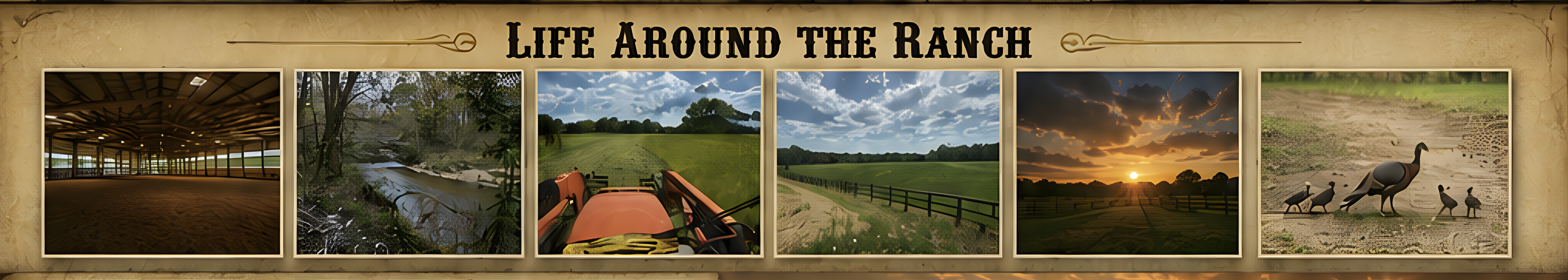 Life Around The Ranch